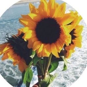 Meet your Posher, Charley